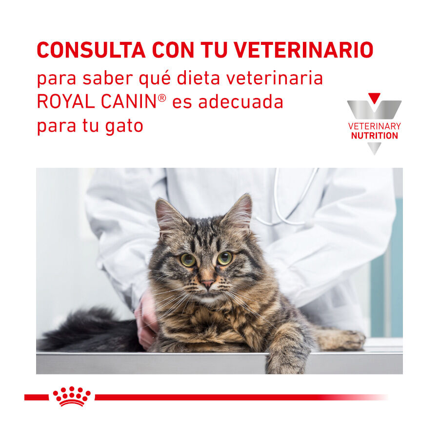 Royal Canin Veterinary Urinary Moderate Calorie pienso para gatos thumbnail