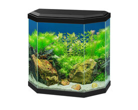 Ciano Aqua 30 Led Negro
