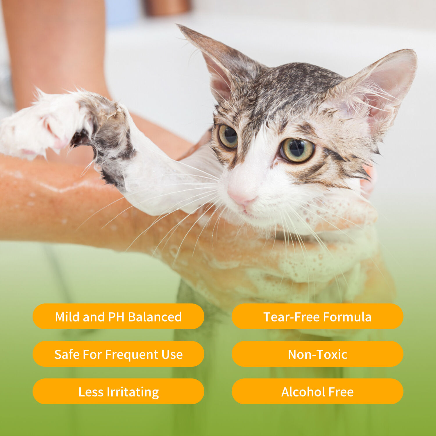 Nobleza Champ&uacute; para Perros Gatos Piel Sensible y Atopica, Champ&uacute; Cachorro y Gatito con Fragancia de Coco, Champ&uacute; Perro Dermatitis y Anti olores |Sin Parabenos, Ftalatos o SLS |pH Adaptado| 250ml, , large Imagen numero 4