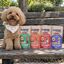 Floopp Bites Cookie Pack &ndash; Galletas Naturales para Perros &ndash; 4 x 95 g, , large indicador imagen numero 2