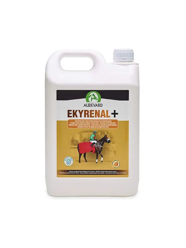 AUDEVARD EKYRENAL PLUS 5L, , large Imagen numero 1