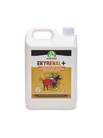 AUDEVARD EKYRENAL PLUS 1L