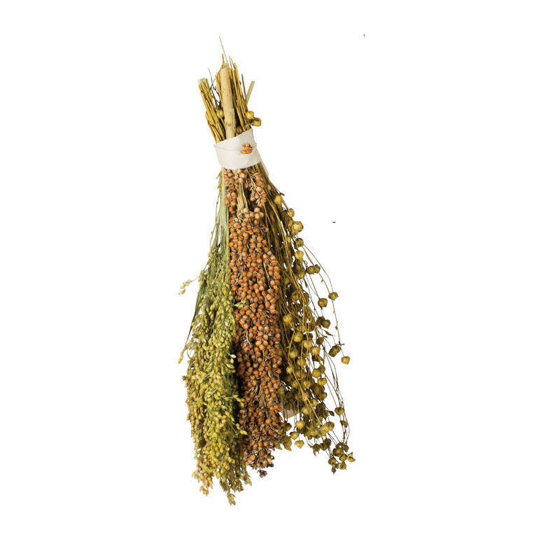 JR Farm Pick &amp; Fly Ramillete de Semillas para pájaros