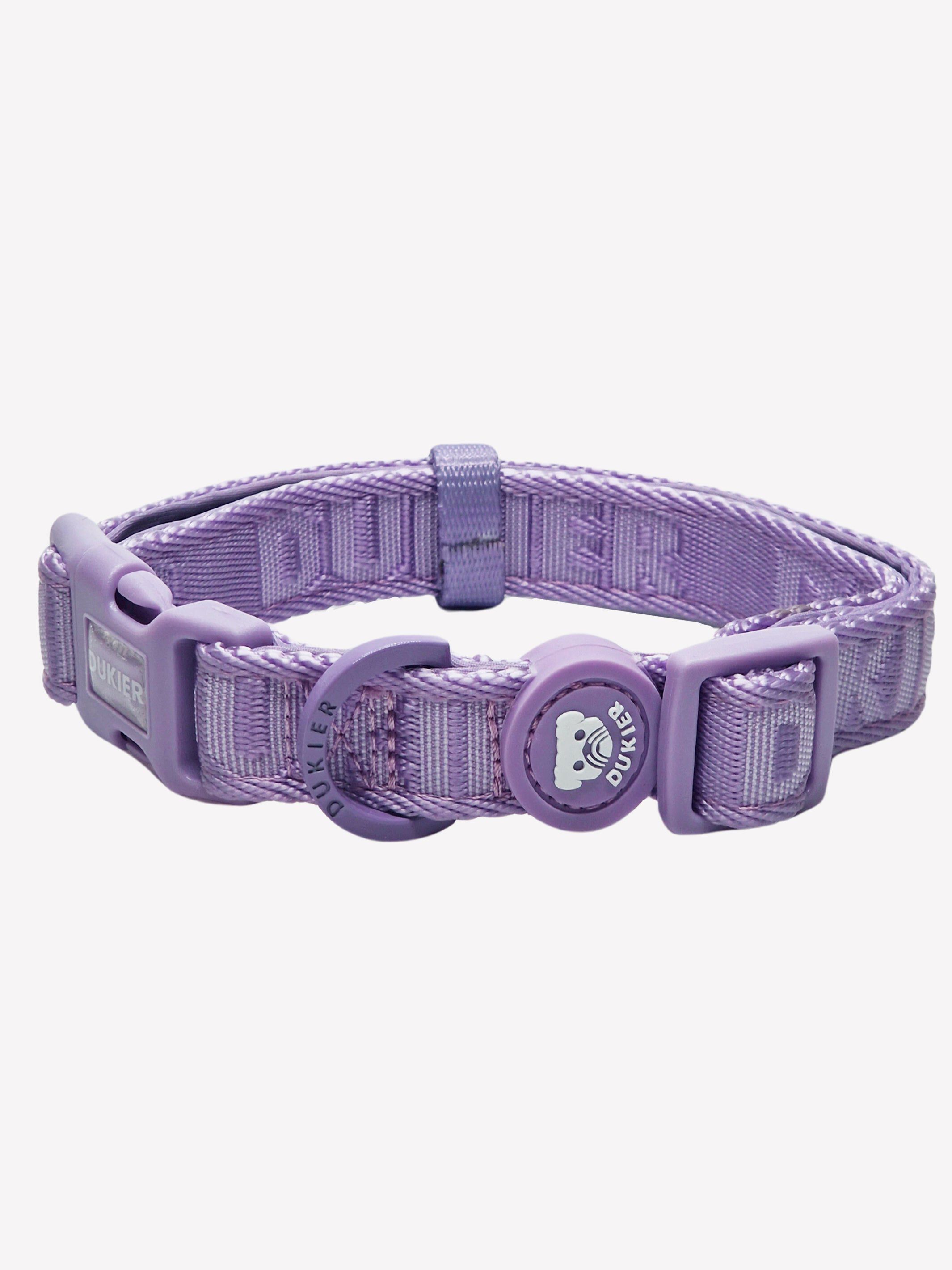 Collar Violet (Essentials) S, , large Imagen numero 1