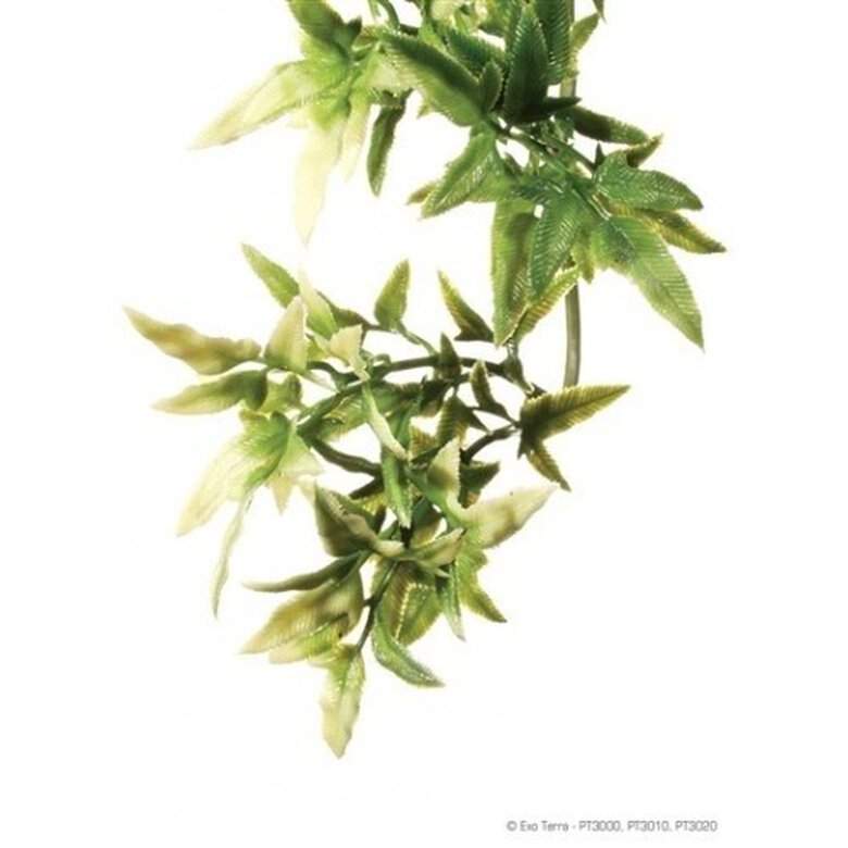 Planta de seda Rucus para reptiles, , large image number null