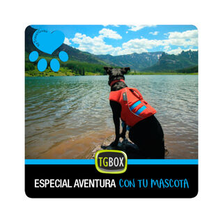Tgbox Especial aventura con tu mascota
