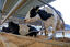 Bentonita Calcica Alimentacion / Saco 25 kg / Harina, , large indicador imagen numero 5