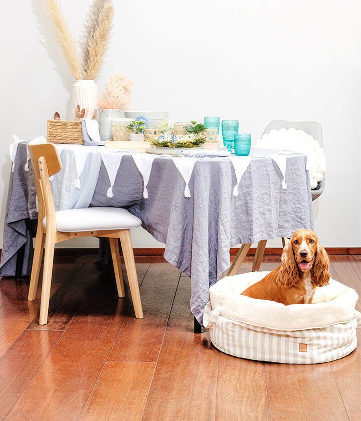 Pet and Co Cesta Feudal Lona Rayas Topo Louis - Perros, , large Imagen numero 5