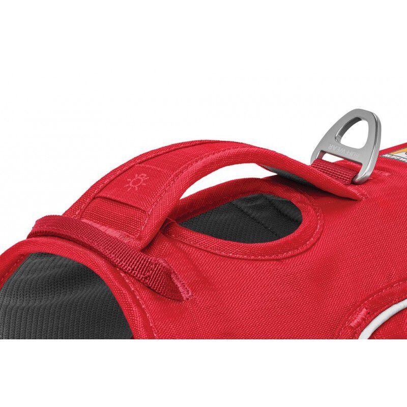 Arn&eacute;s web master, , large Imagen numero 2