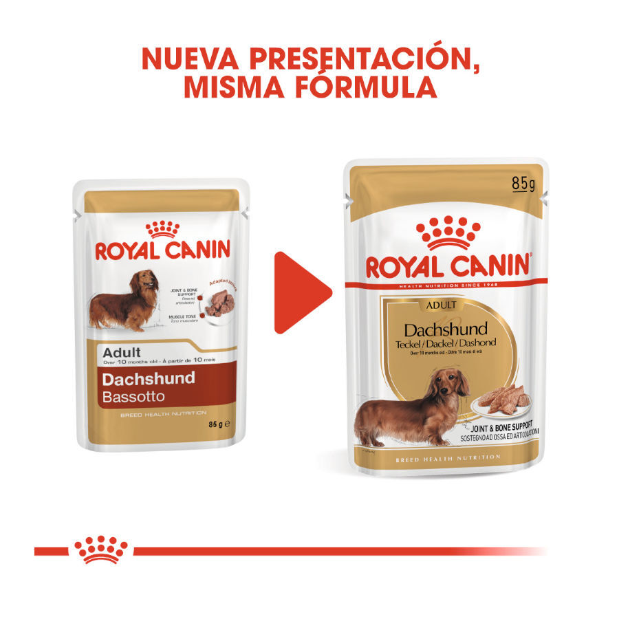 Royal Canin Adult Teckel paté en sobre para perros thumbnail