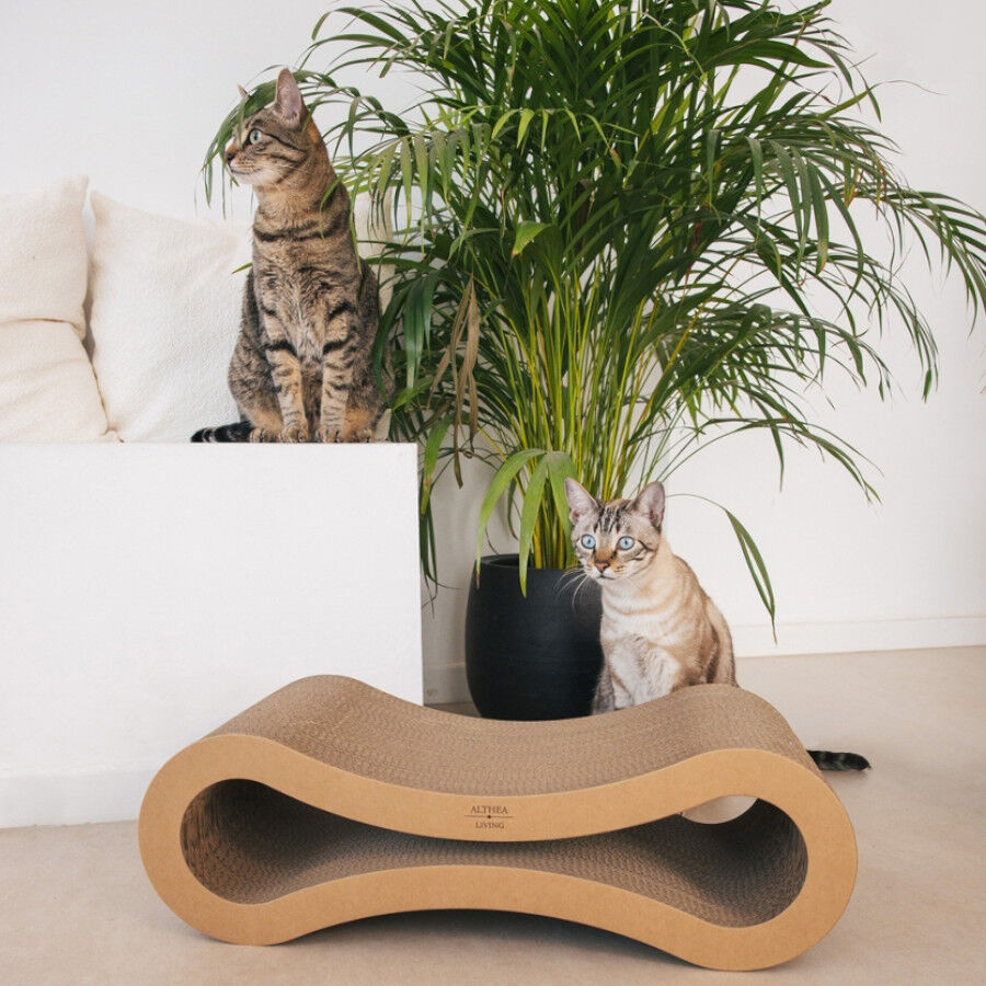 Althea Living - Rascador para Gatos con Forma de Infinito, cart&oacute;n corrugado, reversible, , large Imagen numero 3