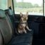 Arnés De Coche Para Mascotas, , large indicador imagen numero 4