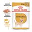 85 g Royal Canin Adult Chihuahua paté en sobre para perros, , large indicador imagen numero 2
