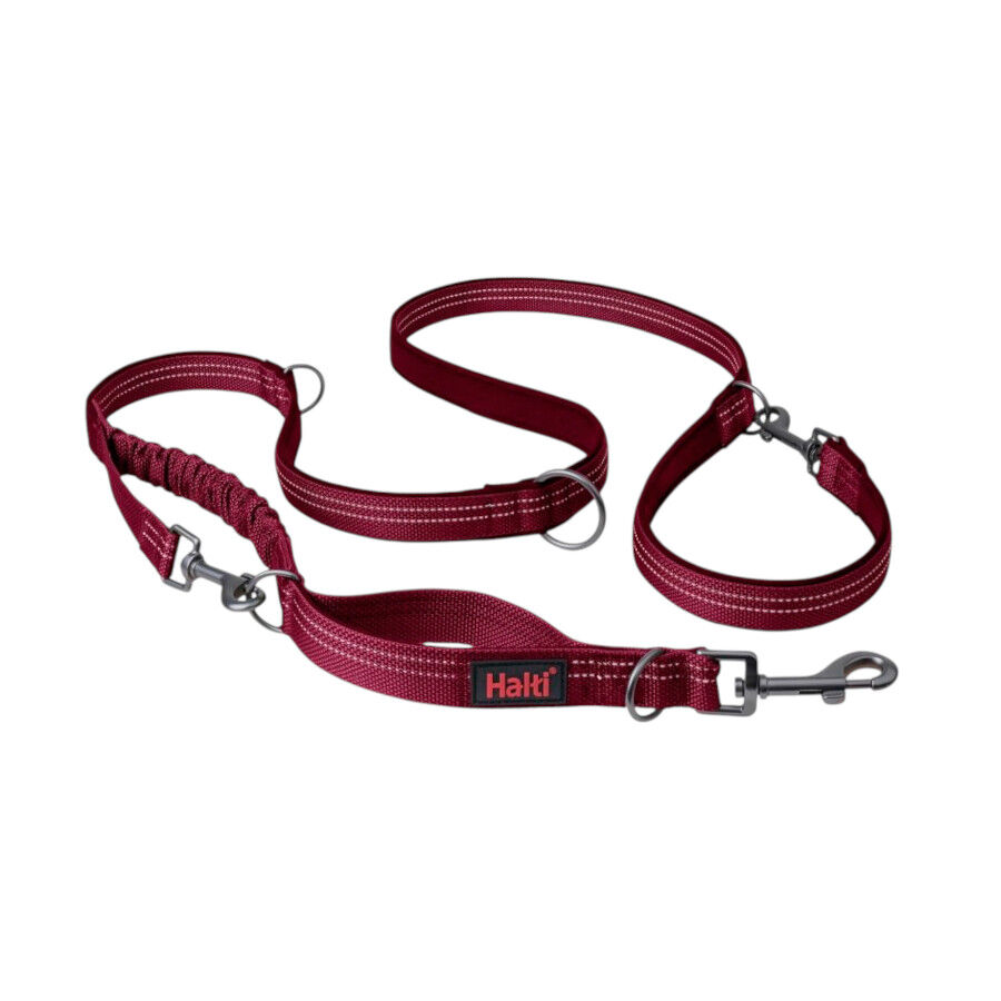 Halti correa multifuncional magenta para perros, , large Imagen numero 1