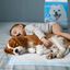 Nobleza - 100 x Empapadores Perros Alfombrilla higiénica de Entrenamiento para Perros. Ultraabsorbente 60cm*40cm, , large indicador imagen numero 10