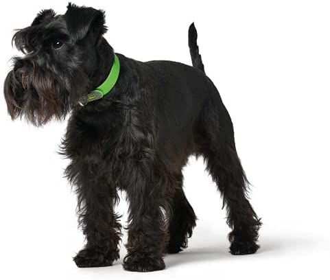HUNTER CONVENIENCE - Collar de perro (pl&aacute;stico, 45 S-M), color verde, , large Imagen numero 3