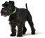 HUNTER CONVENIENCE - Collar de perro (plástico, 45 S-M), color verde, , large indicador imagen numero 3