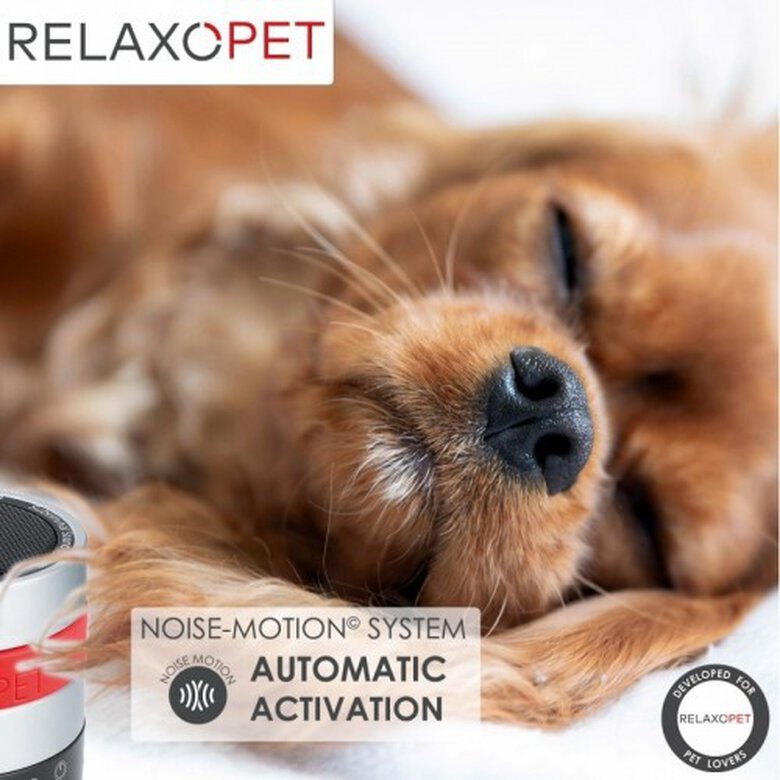 RelaxoPet PRO para perros color Rojo Tiendanimal