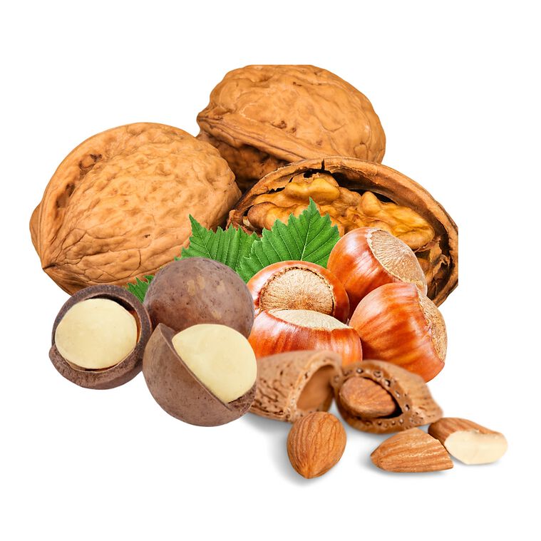 Your Parrot Nueces Silvestres con cáscara para loros thumbnail