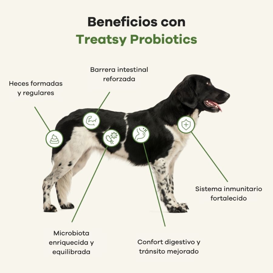 180 g Treatsy Snacks probi&oacute;ticos para perros, , large Imagen numero 4