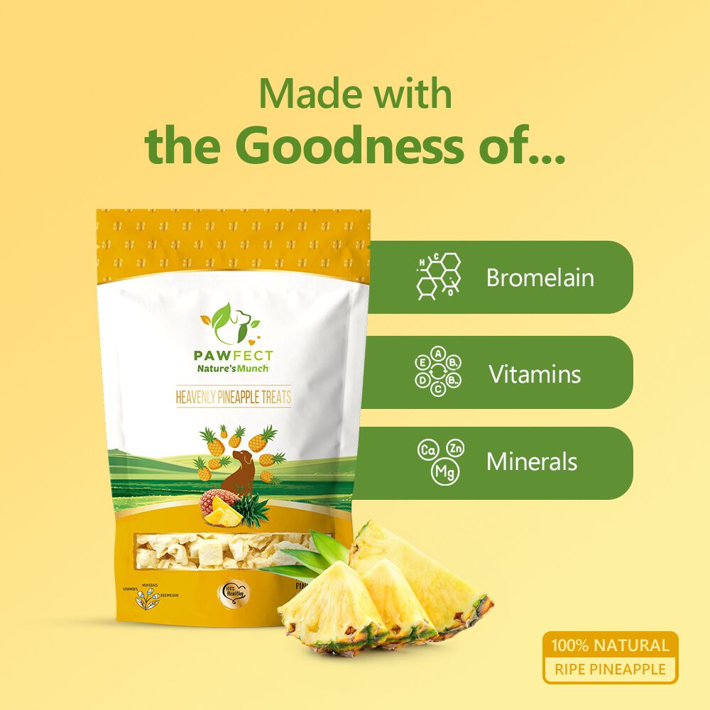 Delicias veganas de un solo ingrediente: pi&ntilde;a (40 g/1,41 oz), , large Imagen numero 4