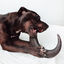 BIMORDISCOS Cuerno de búfalo para perros Pack 2 x L, , large indicador imagen numero 3