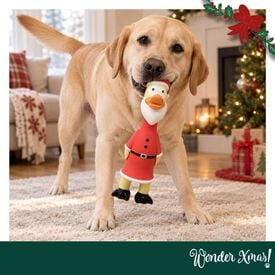 Wonder Christmas Pollo L&aacute;tex Juguete para perros