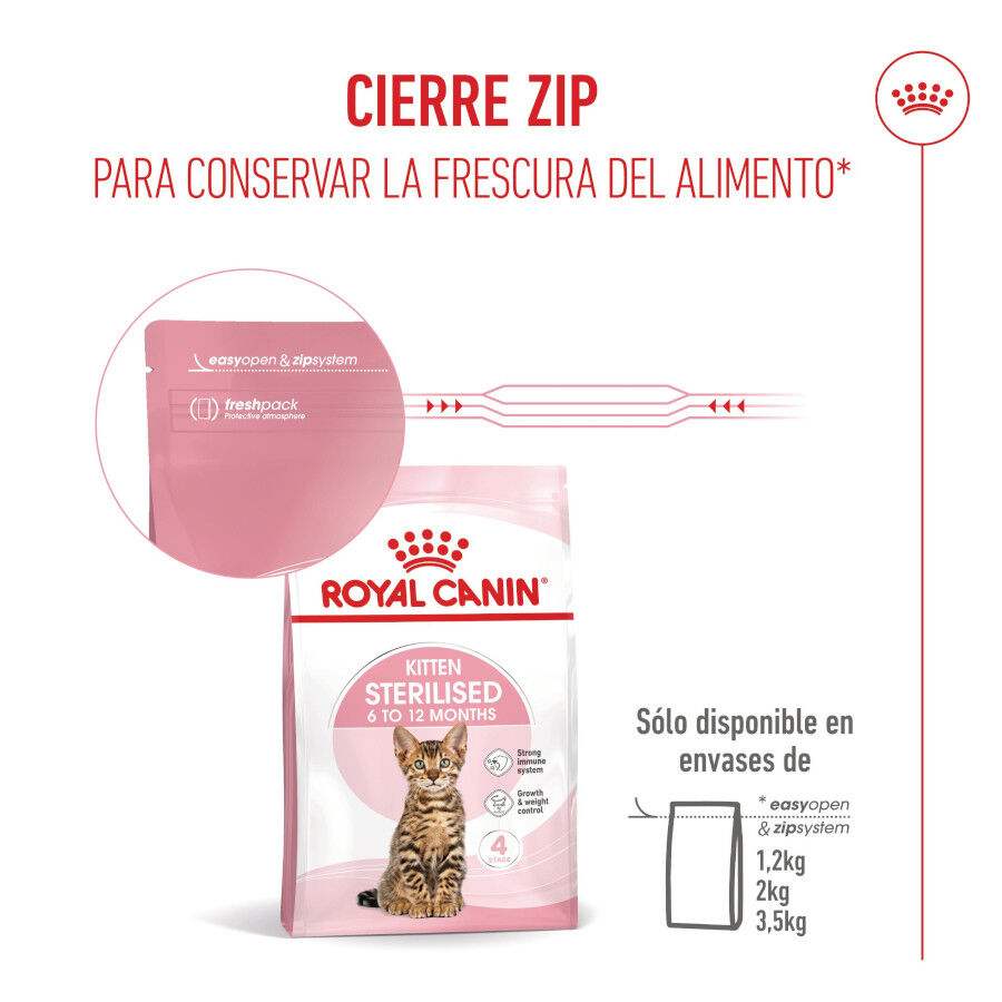 Royal Canin Kitten Sterilised pienso para gatos thumbnail