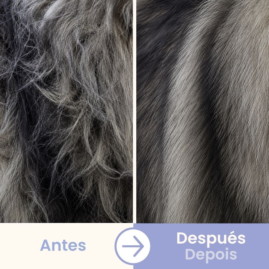 Bloob Peine Doble Hilera para perros, , large Imagen numero 5