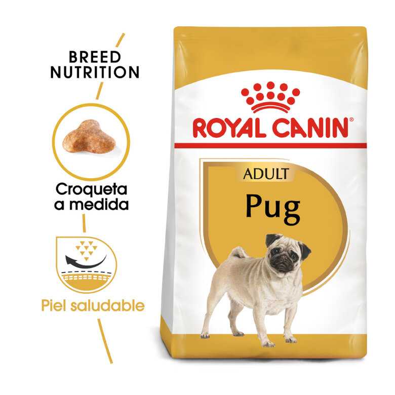 Royal Canin Adult Pug pienso para perros, , large image number null