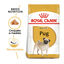 3 kg Royal Canin Adult Pug pienso para perros, , large indicador imagen numero 2