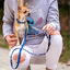 Disney Stitch Premium correa para perros, , large indicador imagen numero 4
