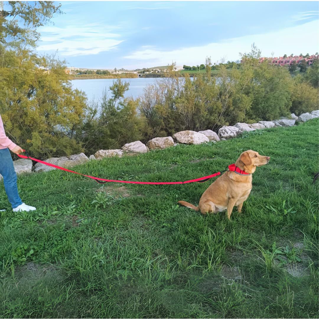 EGV - Correa multiposicion perro con doble asa de neopreno. Correa perro manos libres de 2,50 metros de longitud. (Rojo), , large Imagen numero 5