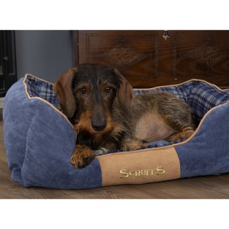 Cuna Highland para mascota color Azul, , large image number null