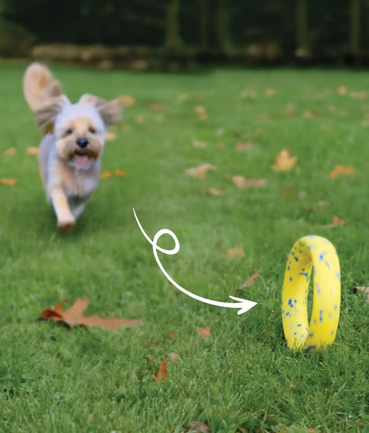 Zeus Nitro&trade; Anillo Lastrado, &Oslash;16cm, , large Imagen numero 3