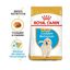 12 kg Royal Canin Puppy Golden Retriever pienso para perros, , large indicador imagen numero 2