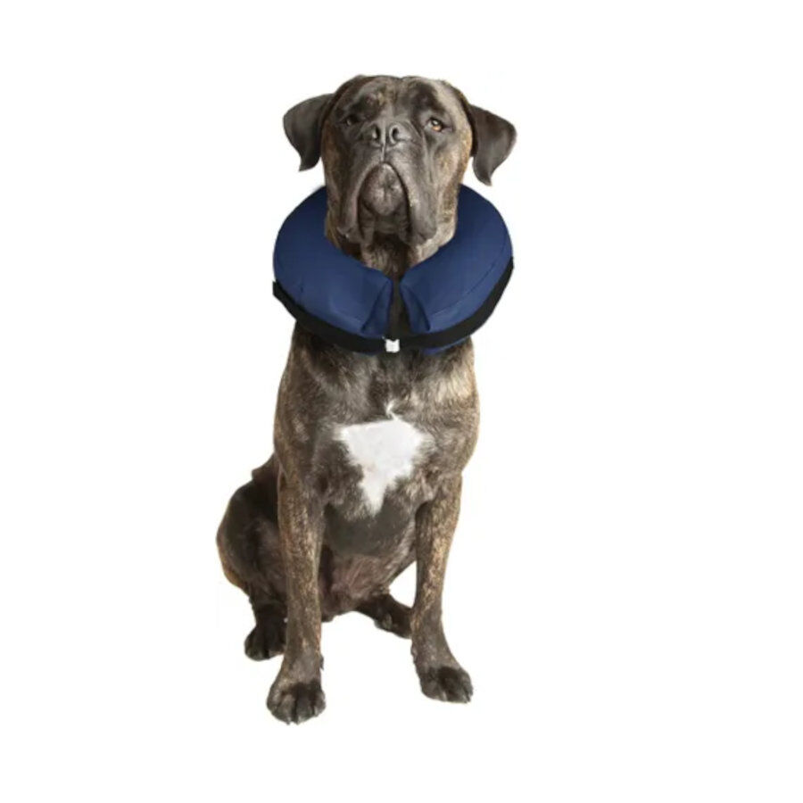 Karlie PetCare Collar Isabelino Inflable para perros, , large Imagen numero 3