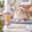 Bloob Champ&uacute; Seco en Espuma para gatos, , large indicador imagen numero 7