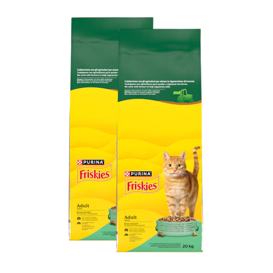 2 x 20 kg Friskies Conejo y Pollo pienso para gatos &iexcl;Pack ahorro!, , large Imagen numero 1