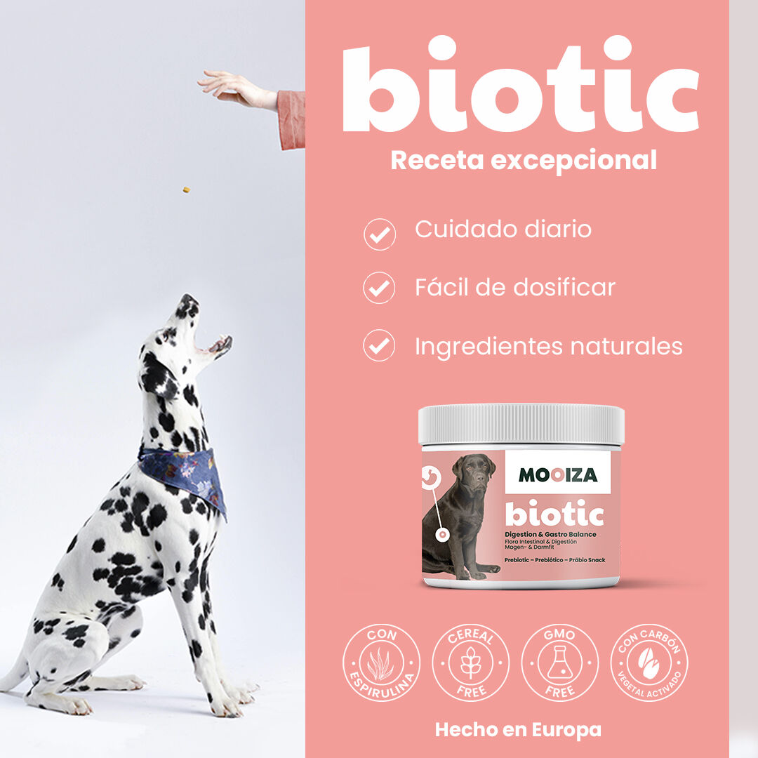 MOOIZA biotic - snack prebiotico, , large Imagen numero 2