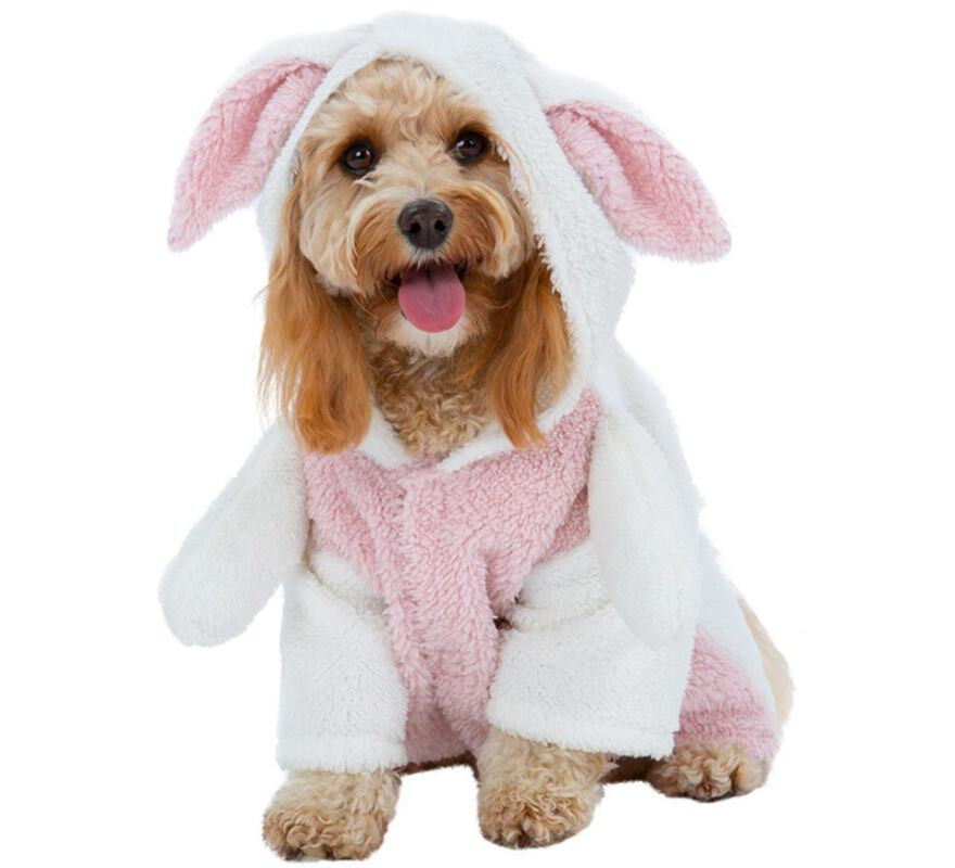 Disfraz de Conejo de Pascua para perro, , large Imagen numero 1