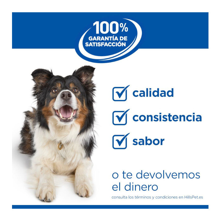 12 kg Hill's Science Plan Perfect weight y Active Mobility pollo pienso para perros grandes, , large Imagen numero 9