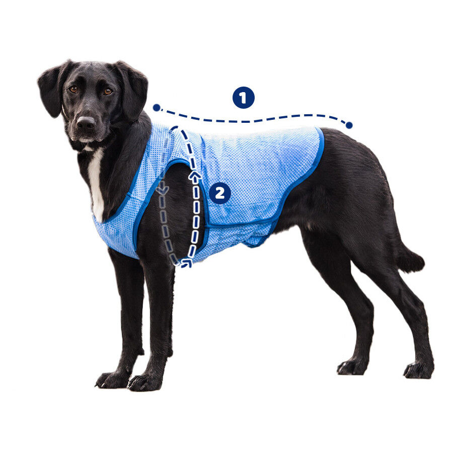 GF Pet ElastoFit Ice Vest Chaleco Refrescante para perros, , large Imagen numero 7