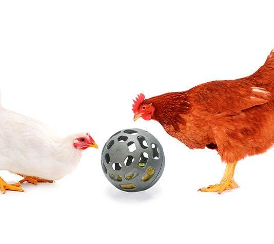 Finca Casarejo Snack Ball Comedero Rodante para Gallinas