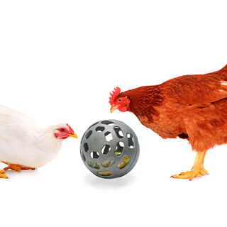 Finca Casarejo Snack Ball Comedero Rodante para Gallinas