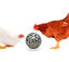 Comedero Rodante para Gallinas - Comedero Divertido para Gallinas y Aves de Corral - Snack Ball - Pelota de Comida para Gallinas, , large indicador imagen numero 1
