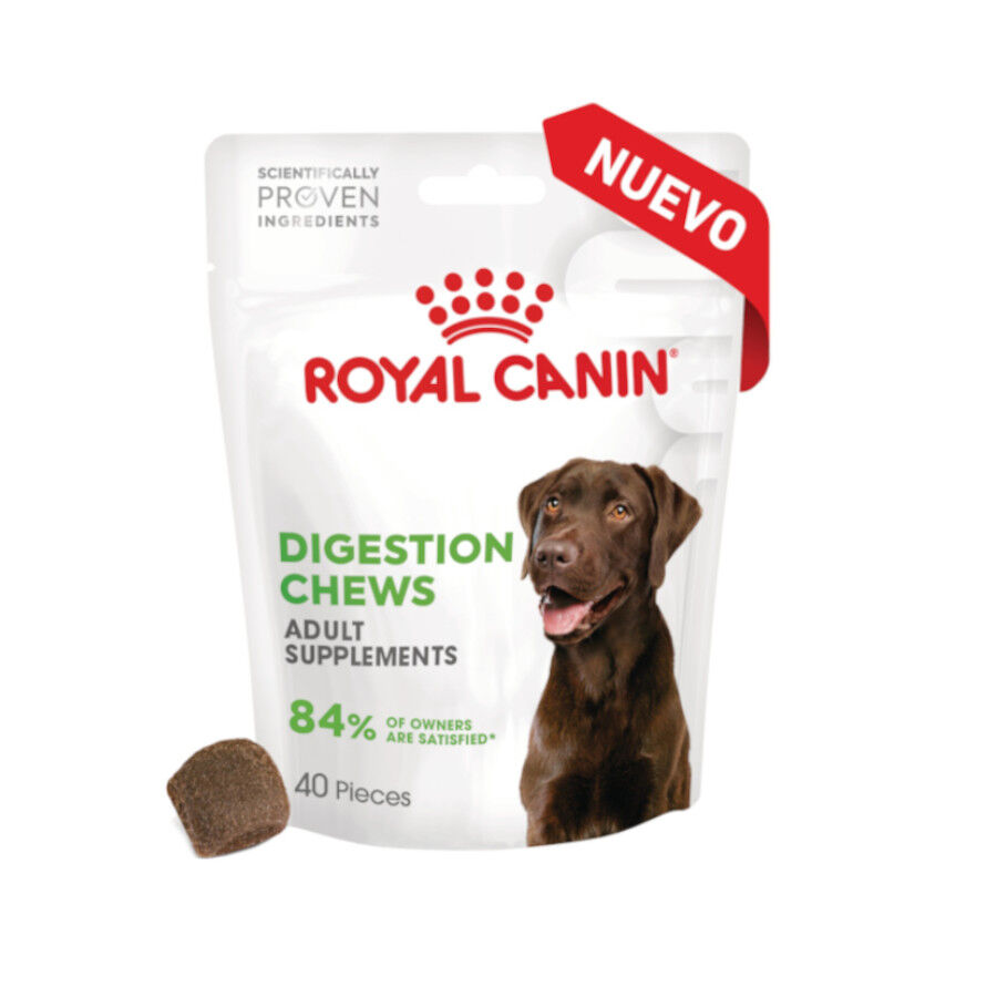 Royal Canin Digestion Chews Suplemento Nutricional para perros con sensibilidad thumbnail