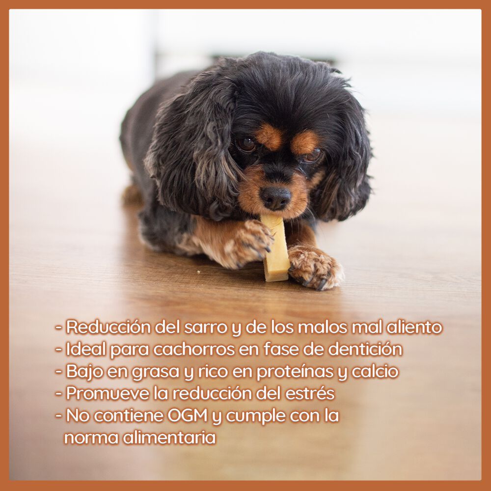 Palillo masticable de queso duro Wildfang&reg; Yak seg&uacute;n la receta del Himalaya para perros - XL, , large Imagen numero 4