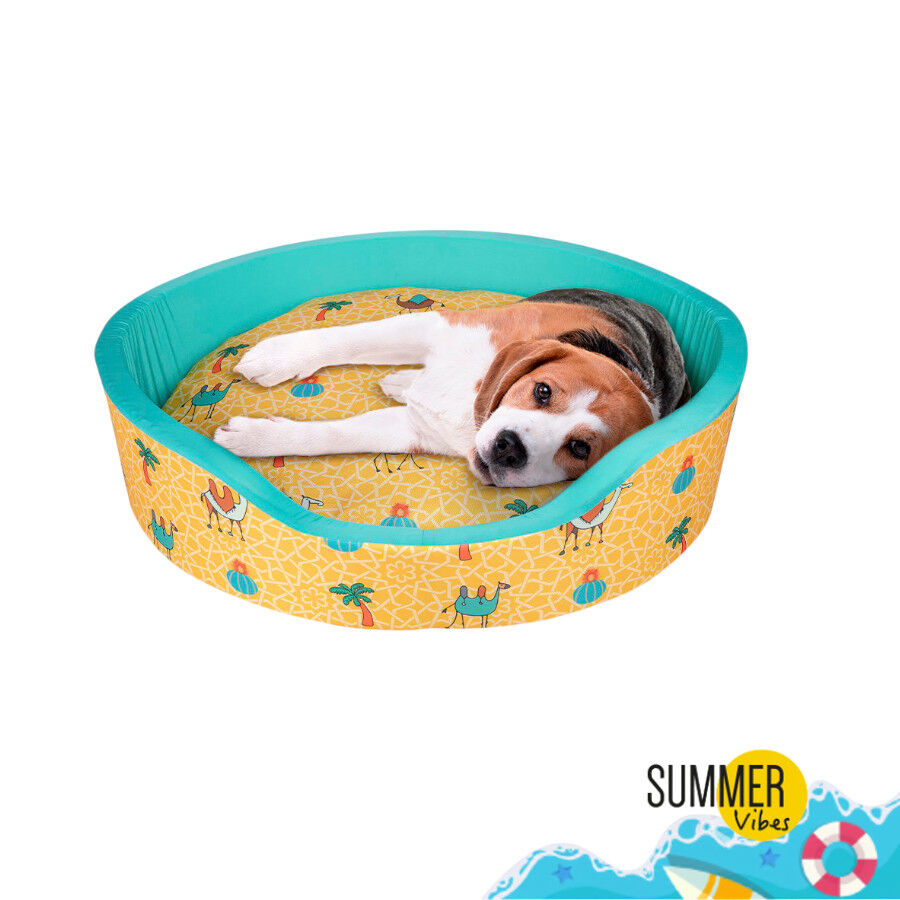 Summer Vibes Camel Fresh Cama refrescante para perros, , large Imagen numero 2
