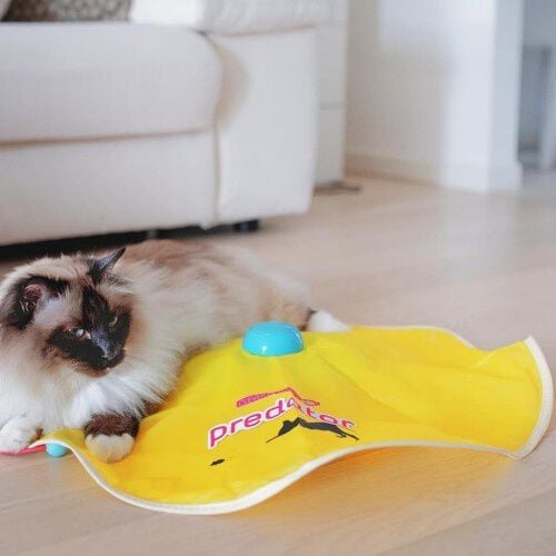 Juguete inteligente para Gatos Ferplast thumbnail